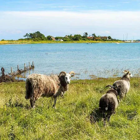 20134-samso-heden-19 *