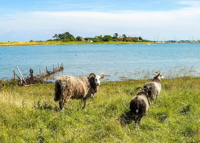 20134-samso-heden-19 *